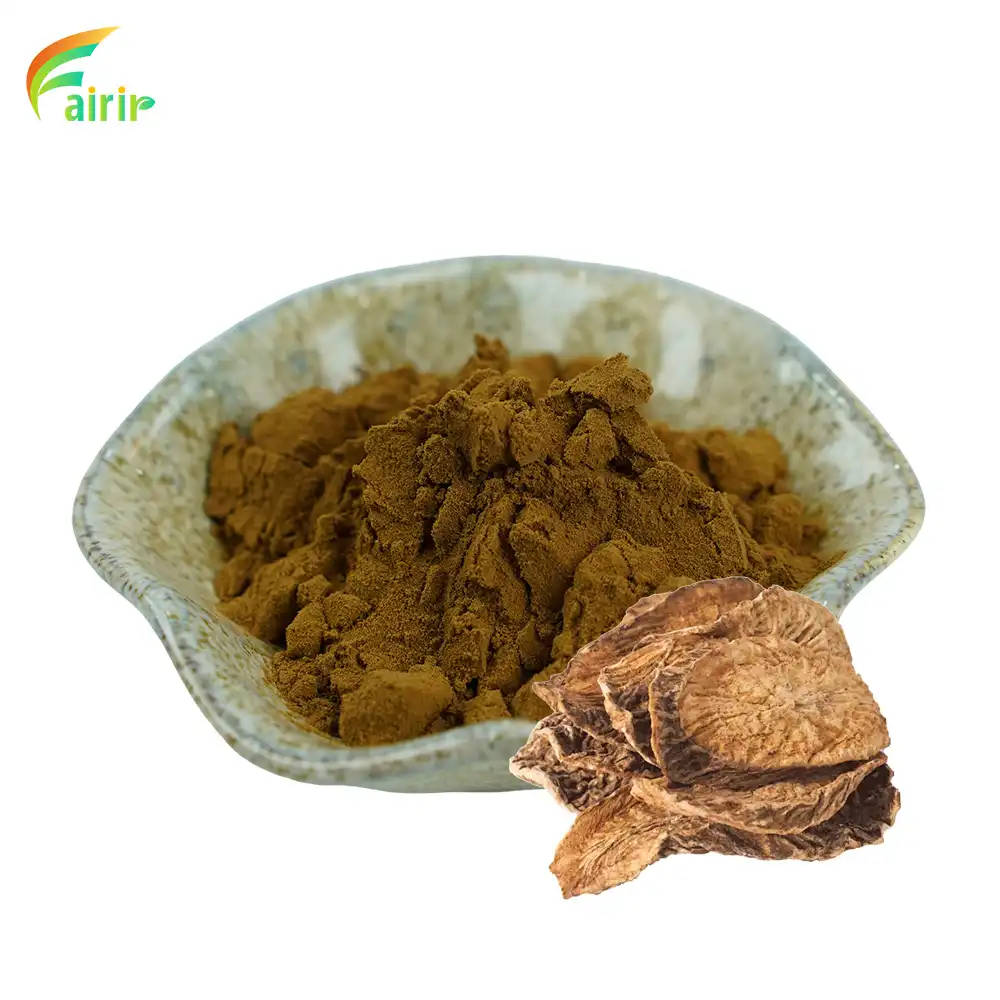 Burdock Extract Powder Burdock Extract Powder